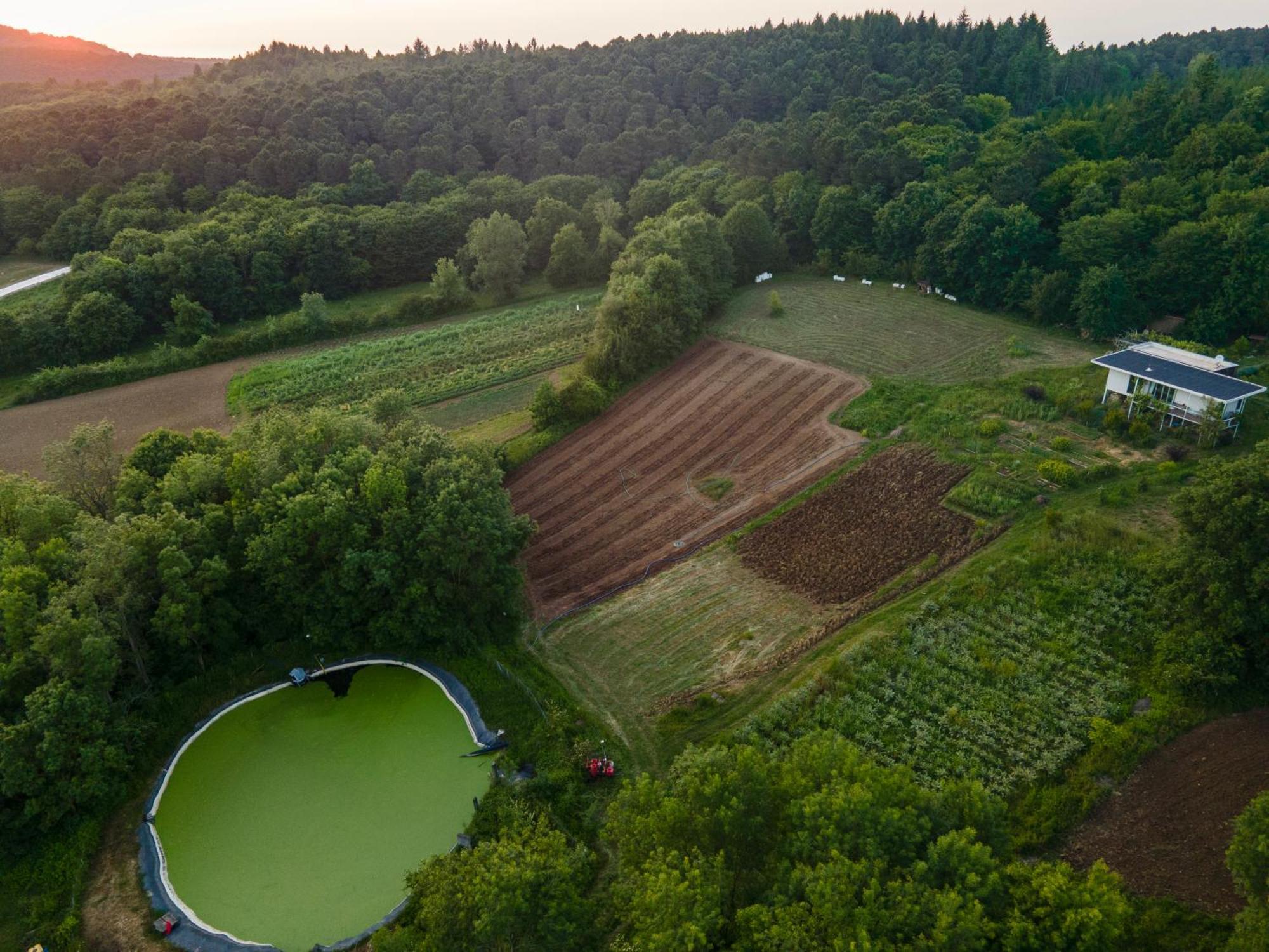 Narkoey Ecologic Hotel & Organic Farm Kocaeli Exterior photo