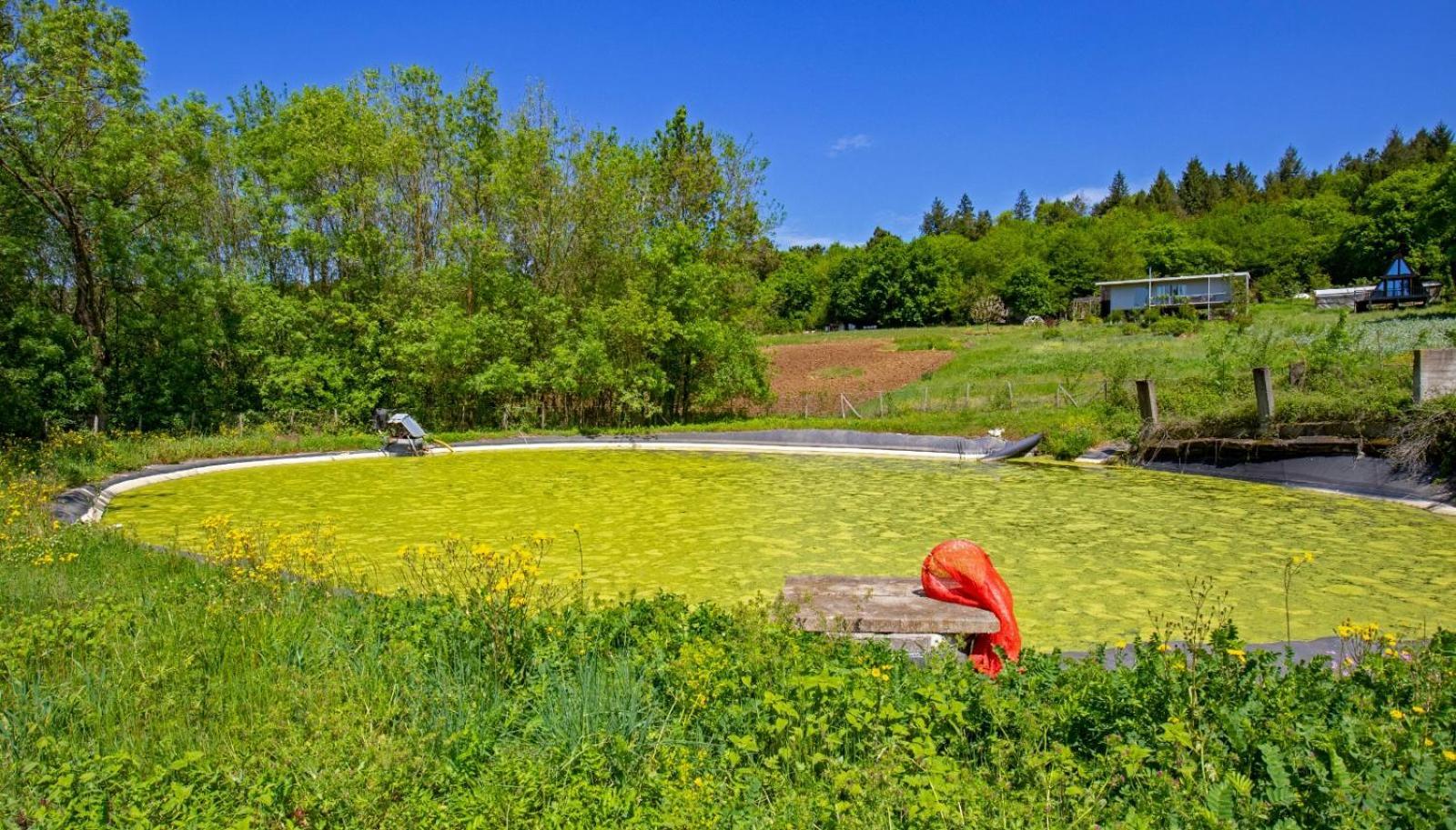 Narkoey Ecologic Hotel & Organic Farm Kocaeli Exterior photo